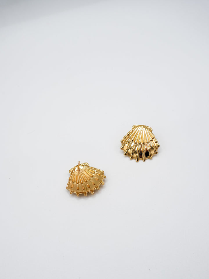 Aretes conchita marina Accesoriosjeco 