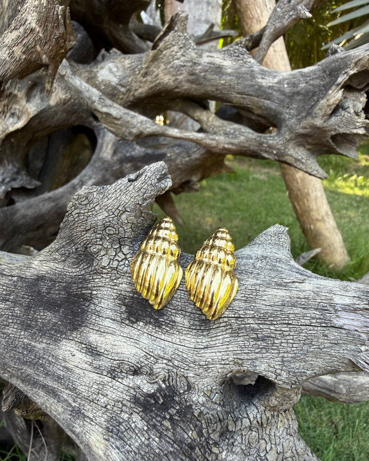 Aretes caracoles Accesoriosjeco 